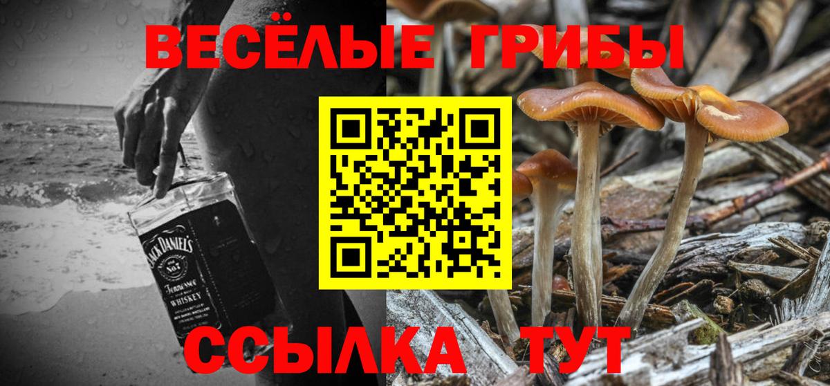 Азов  Галлюциногенные грибы мухоморы  Вход с VPN  Галлюциногенные грибы ЛСД 